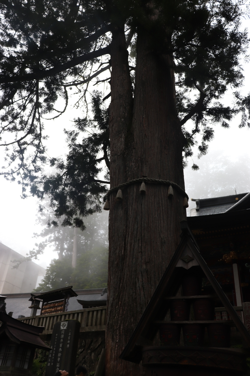 f:id:daihida:20190814232332j:plain f:id:daihida:20190814232332j:plain