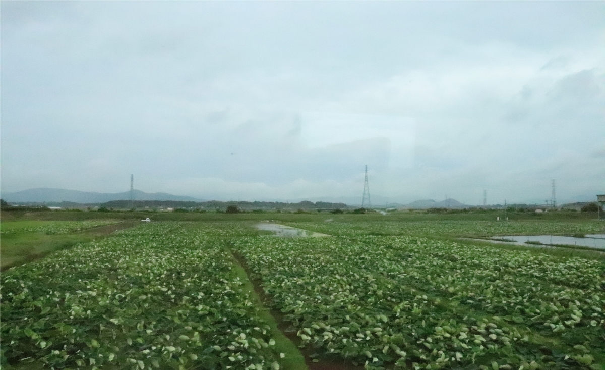 f:id:daihida:20200711203554j:plain