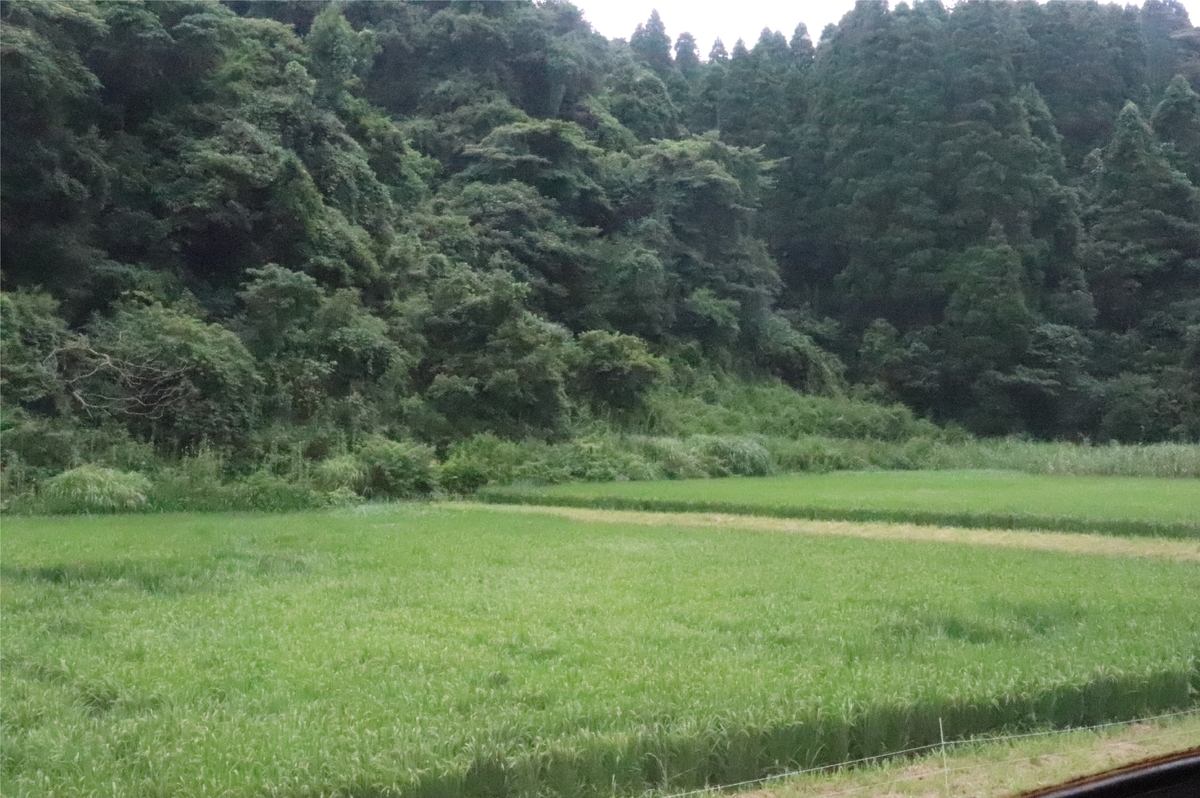 f:id:daihida:20200725222826j:plain
