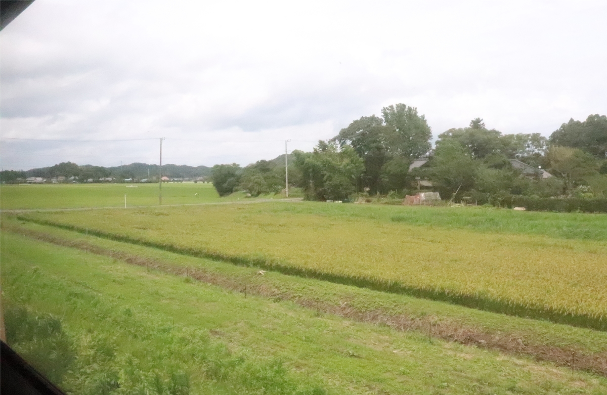 f:id:daihida:20200725224122j:plain