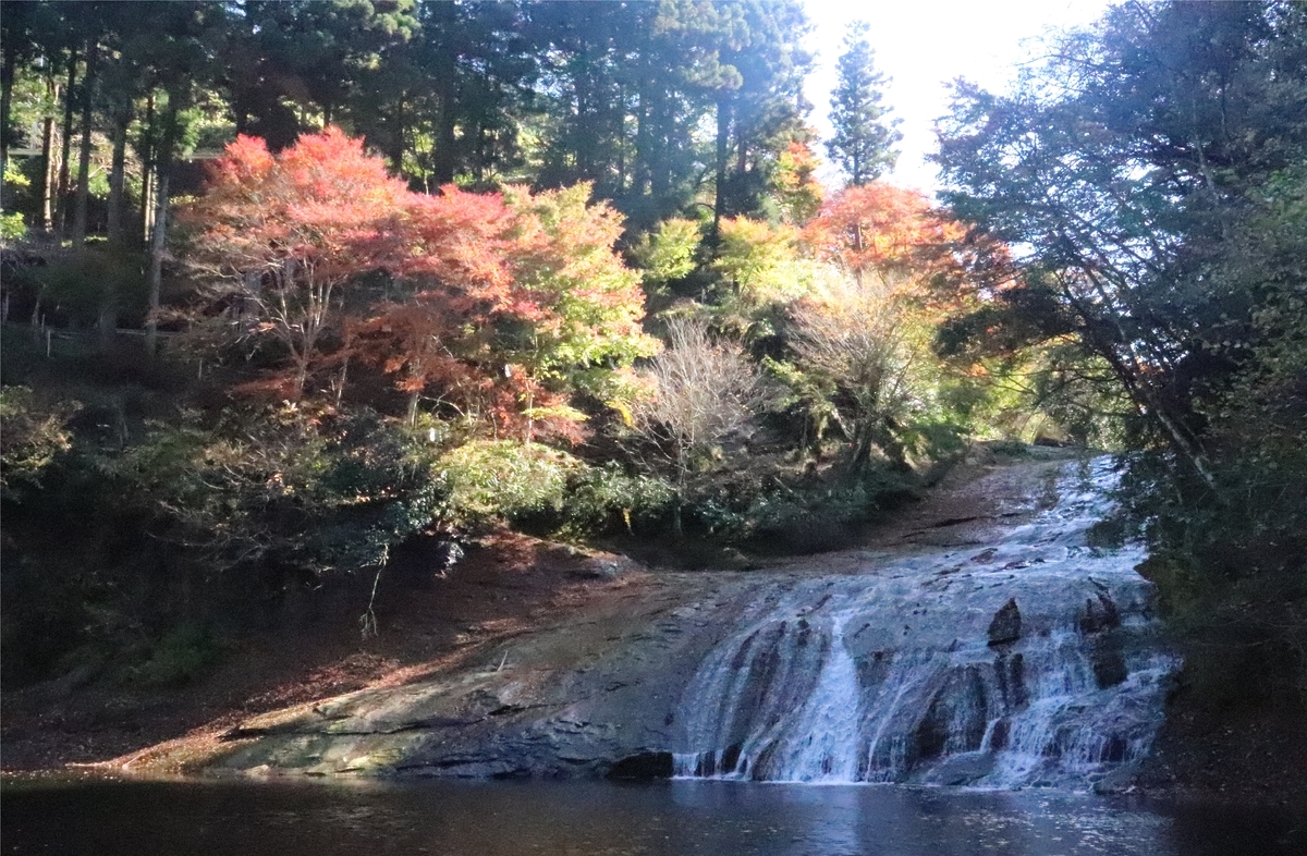 f:id:daihida:20201122123634j:plain