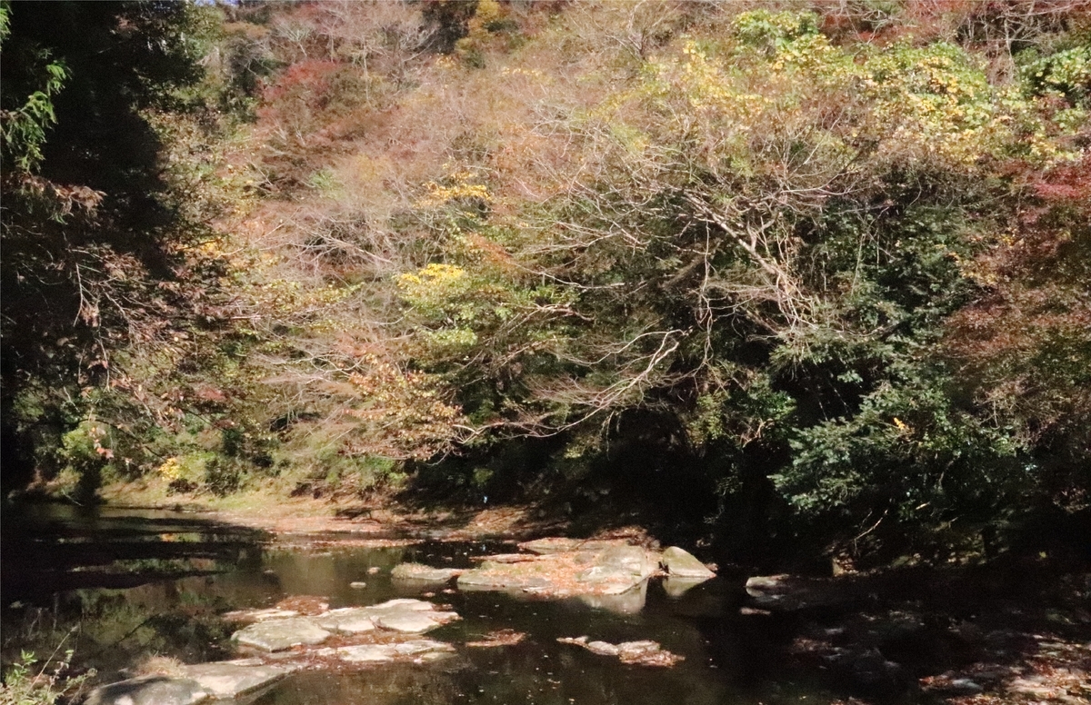 f:id:daihida:20201122124002j:plain