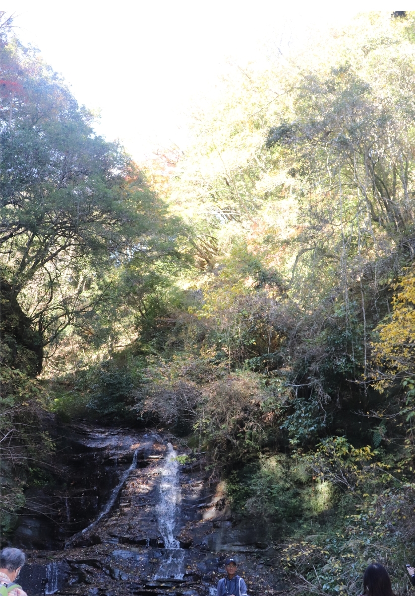 f:id:daihida:20201122124417j:plain