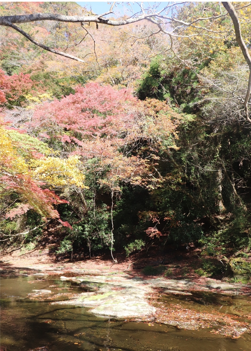 f:id:daihida:20201122124616j:plain