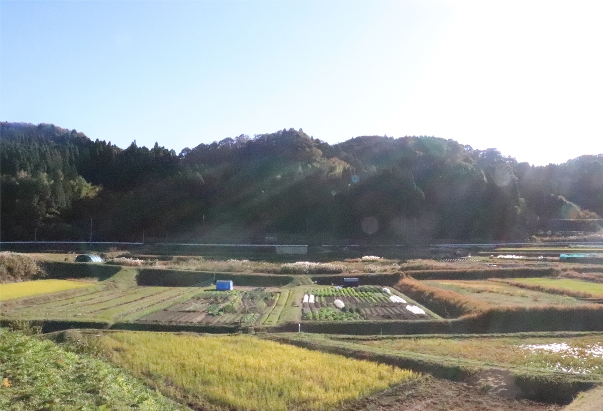f:id:daihida:20201122133359j:plain