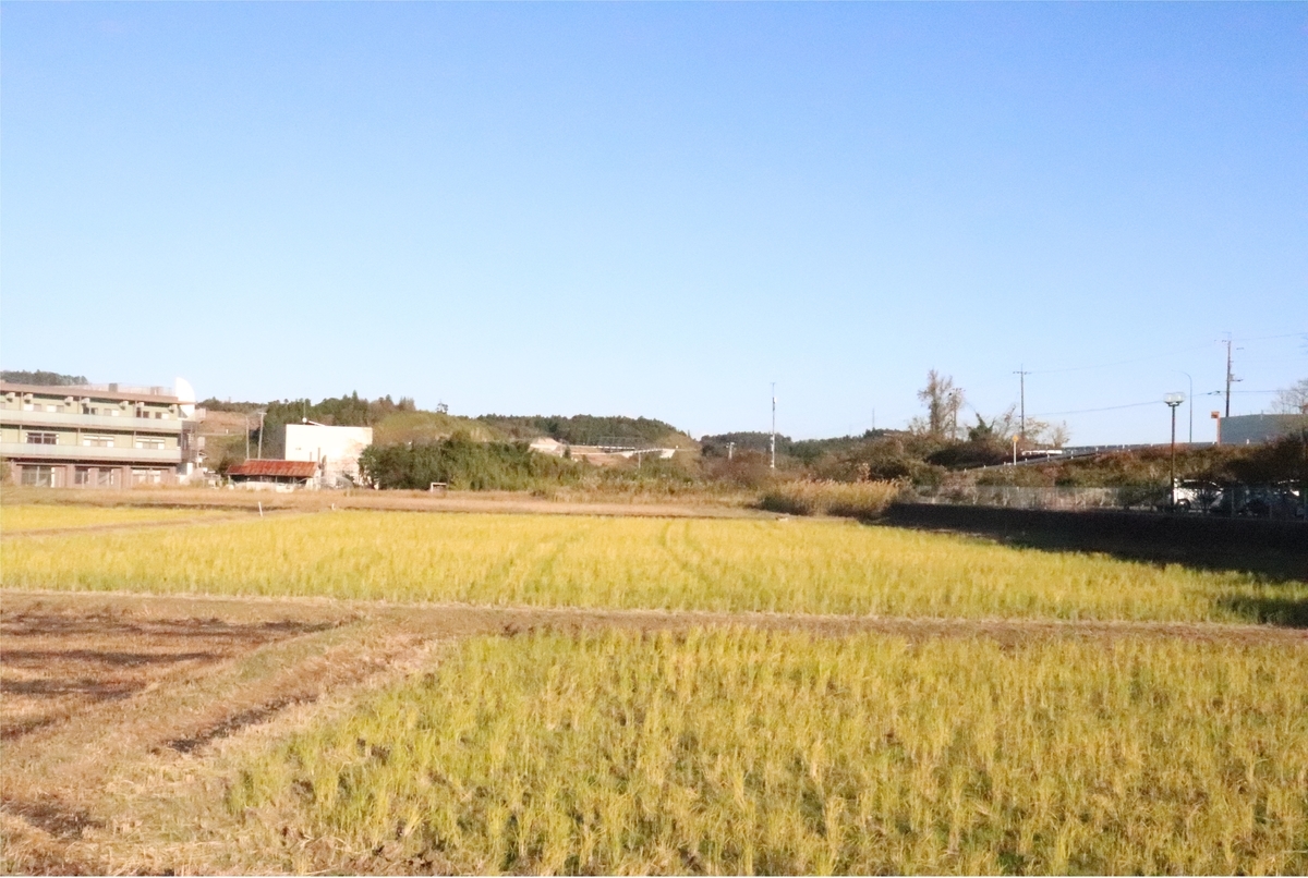 f:id:daihida:20201122134730j:plain