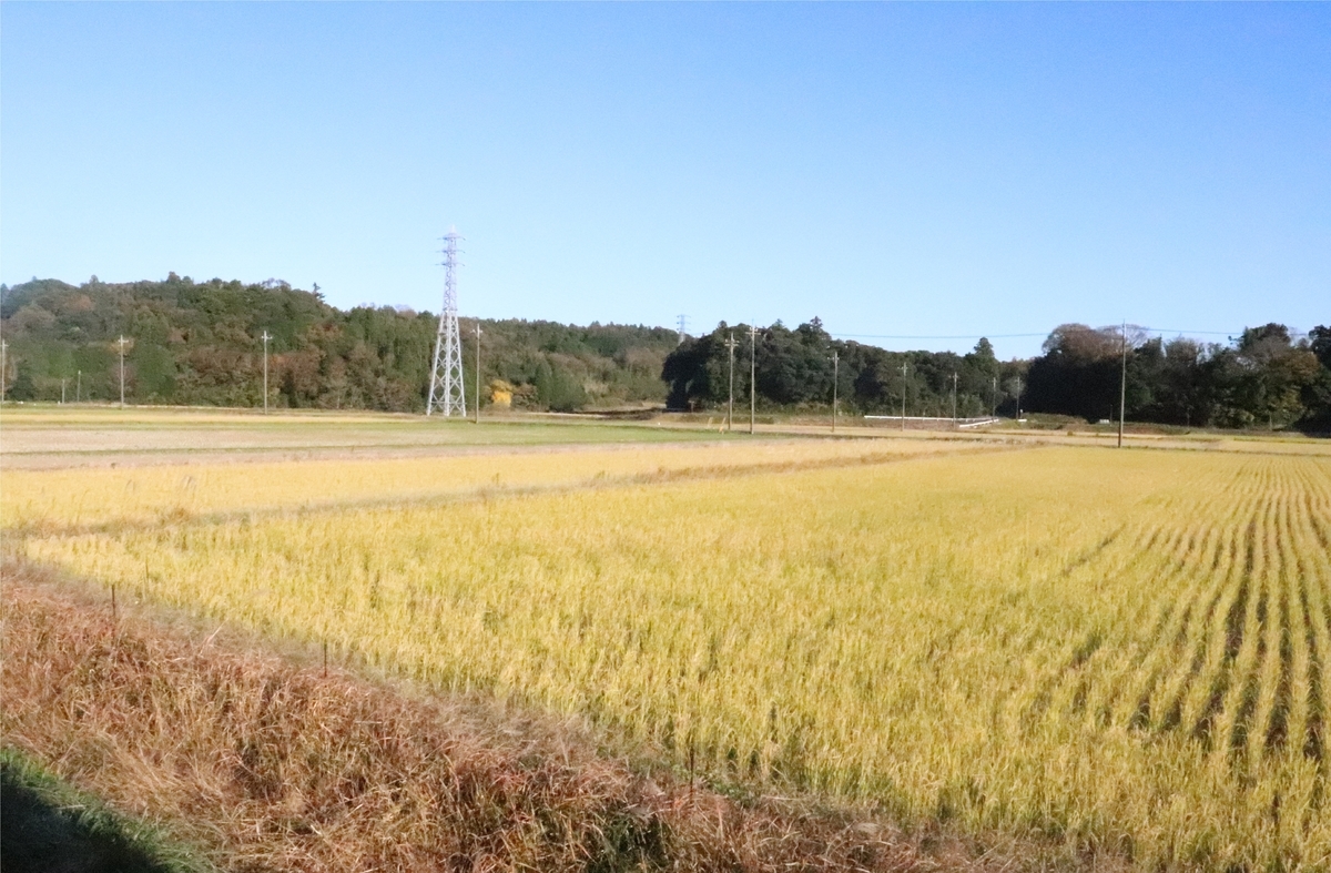 f:id:daihida:20201122135516j:plain