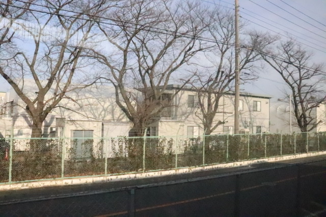 f:id:daihida:20201229212214j:plain