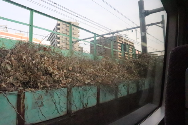 f:id:daihida:20201229213037j:plain