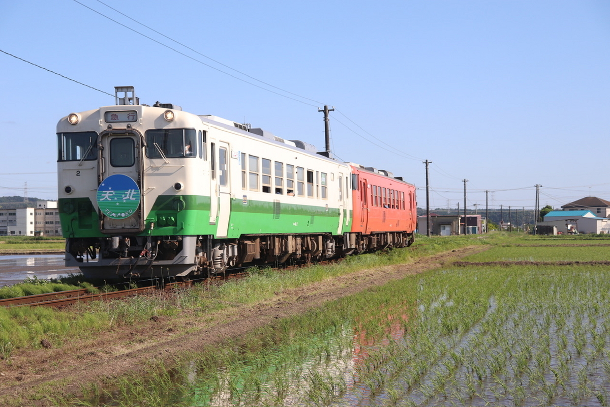 2024.05.11 【宗谷本線急行列車が小湊鉄道で復活】キハ40が天北ヘッド