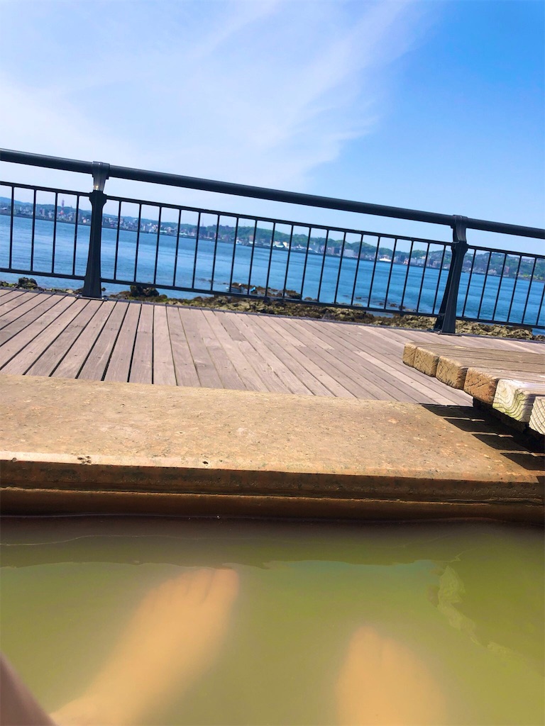 f:id:daihukumoti_123:20190510160747j:image f:id:daihukumoti_123:20190510160747j:image