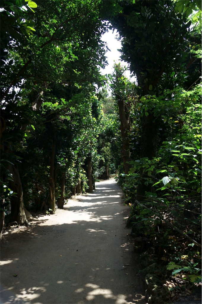 f:id:daihukumoti_123:20190518002654j:image f:id:daihukumoti_123:20190518002654j:image