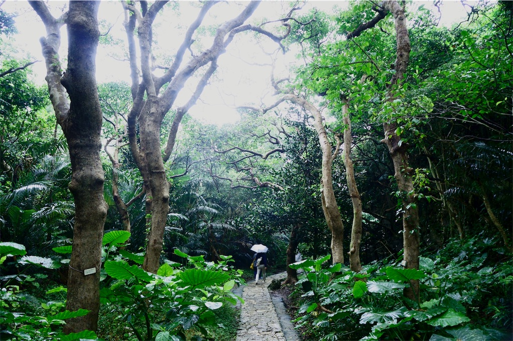 f:id:daihukumoti_123:20190518004037j:image f:id:daihukumoti_123:20190518004037j:image