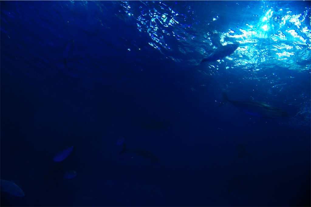 f:id:daihukumoti_123:20190518005922j:image f:id:daihukumoti_123:20190518005922j:image