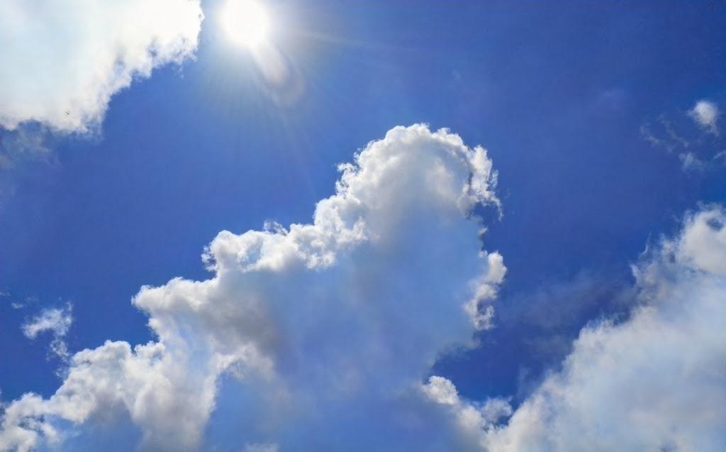 f:id:daiiz:20160911014846j:plain:w340 f:id:daiiz:20160911014846j:plain:w340