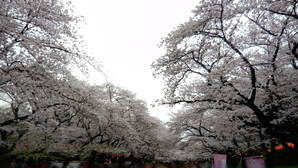 モザイク 上野公園