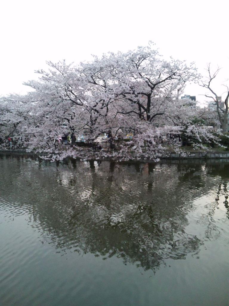 f:id:daij1n:20180212141348j:plain