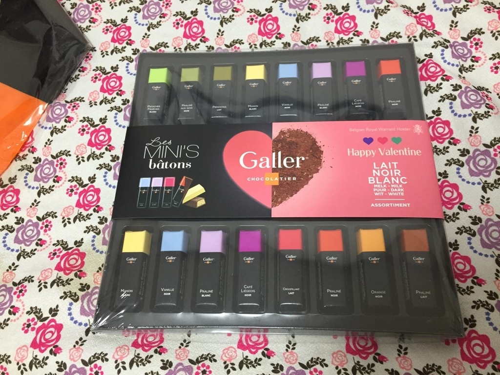 f:id:daikai6:20190215222303j:plain f:id:daikai6:20190215222303j:plain