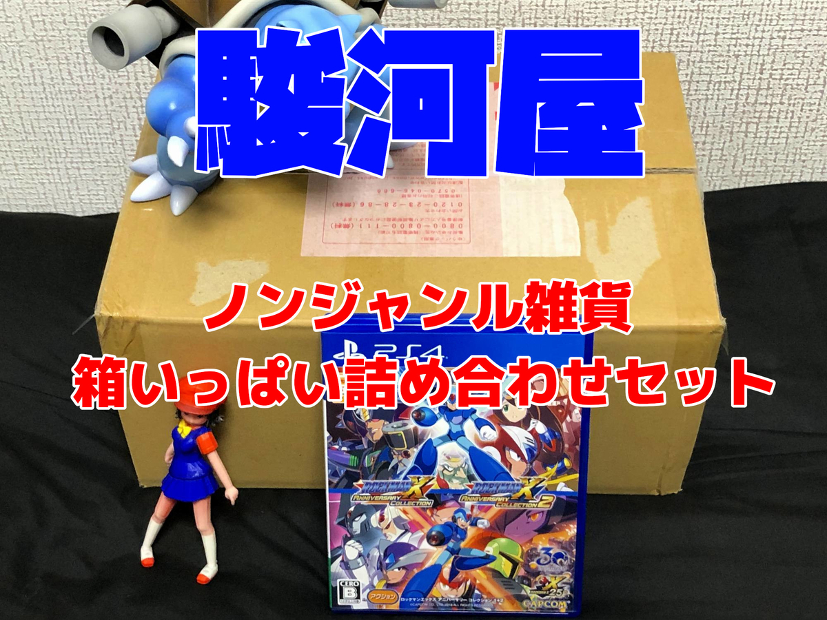 駿河屋福袋「じゃんく ノンジャンル雑貨 箱いっぱい詰め合わせセット