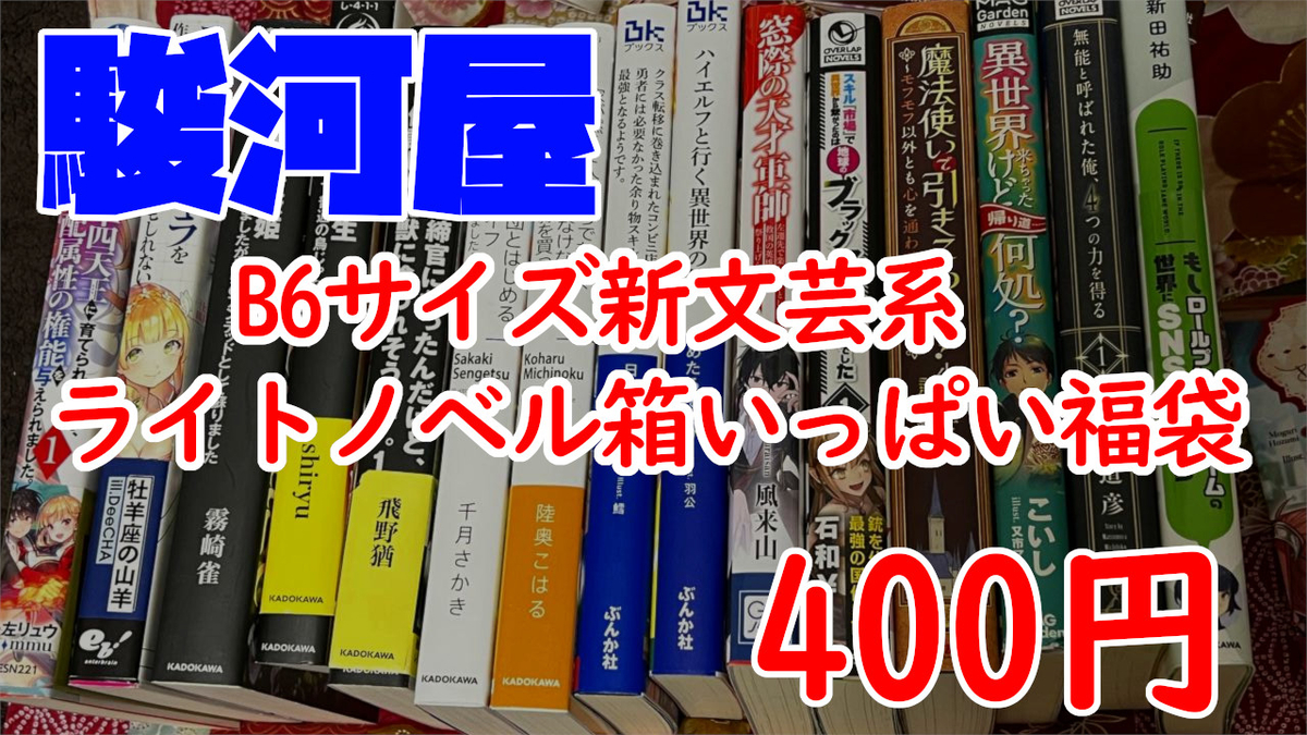 圧倒的物量！駿河屋『B6サイズ 新文芸系 ライトノベル箱いっぱい