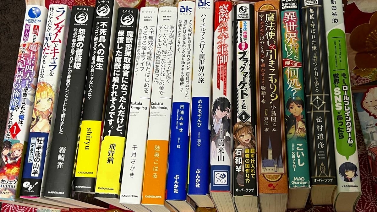 圧倒的物量！駿河屋『B6サイズ 新文芸系 ライトノベル箱いっぱい