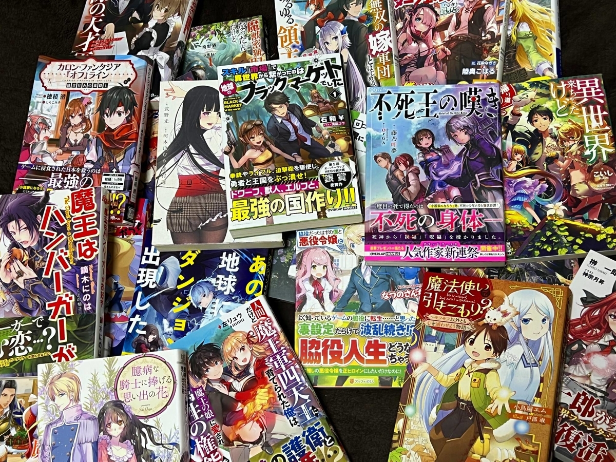 圧倒的物量！駿河屋『B6サイズ 新文芸系 ライトノベル箱いっぱい
