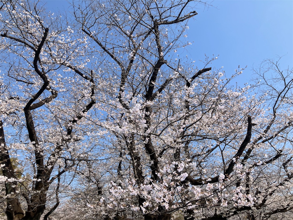 f:id:daikaiun777:20260329224207j:image