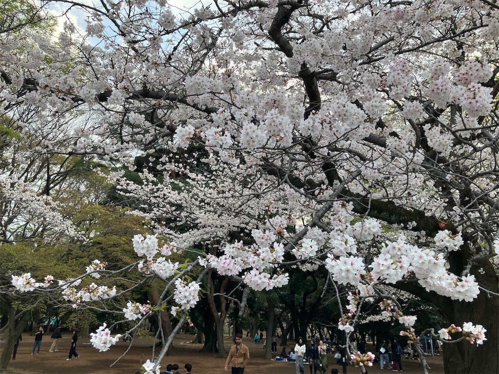 f:id:daikaiun777:20260329224211j:image