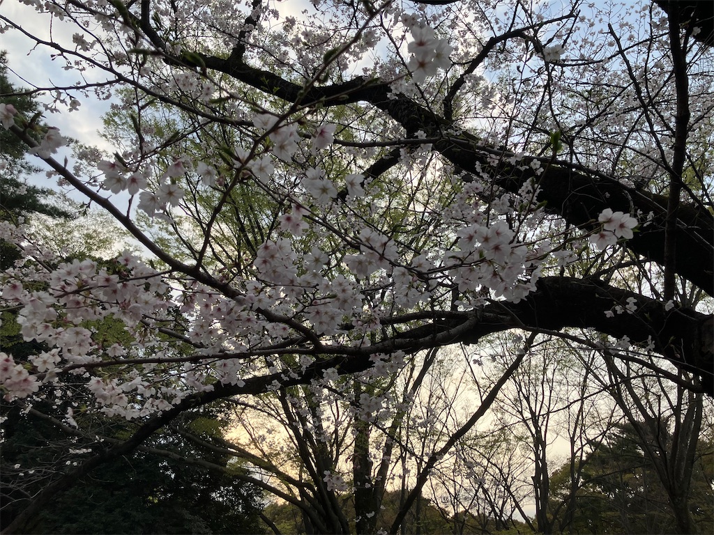 f:id:daikaiun777:20260329224219j:image