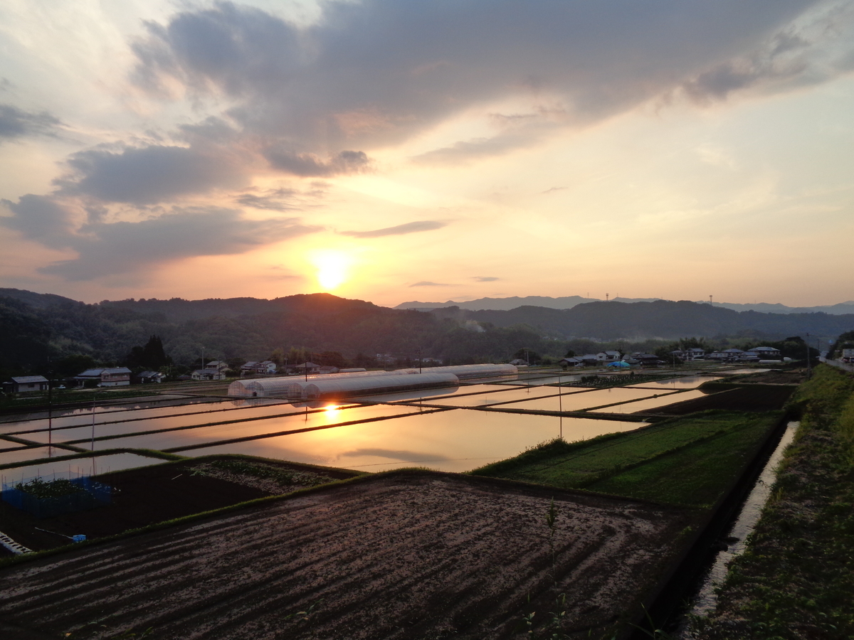 f:id:daikenblog:20210609153703j:plain