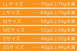 f:id:daikenkiv2:20190302085105j:image f:id:daikenkiv2:20190302085105j:image