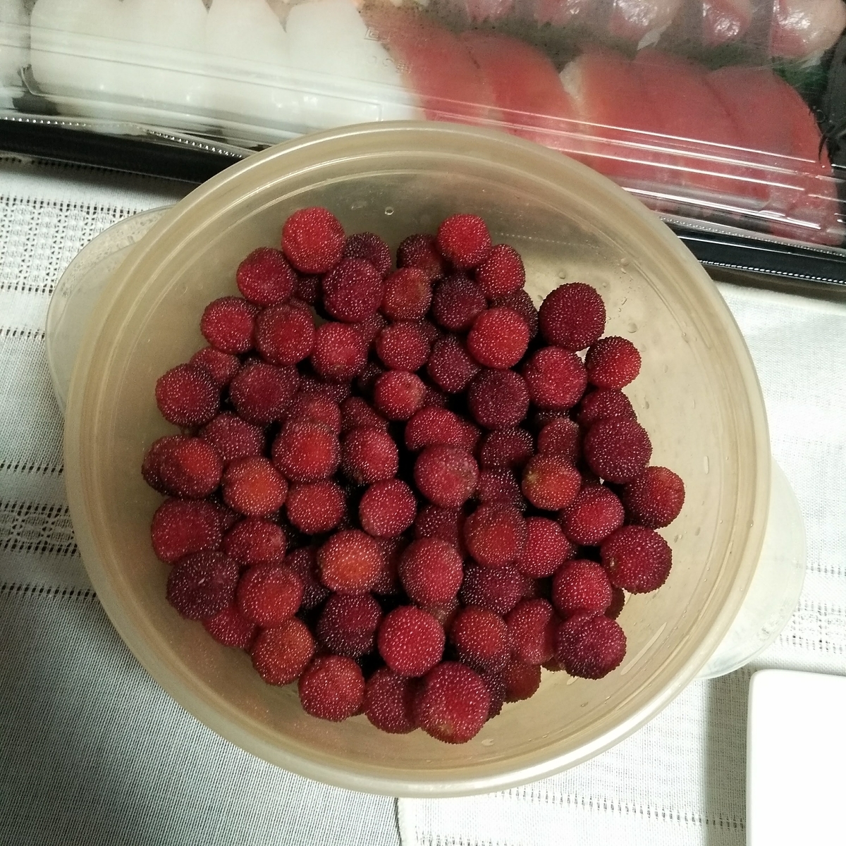f:id:daiki-em:20190704153507j:plain f:id:daiki-em:20190704153507j:plain