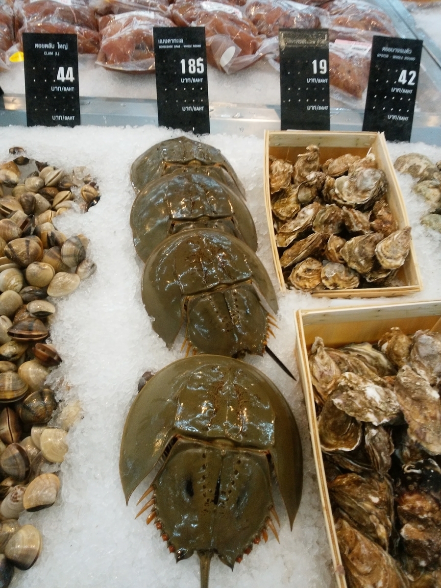 f:id:daiki-em:20190714225335j:plain f:id:daiki-em:20190714225335j:plain