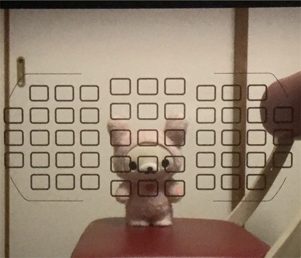 f:id:daiki_bassist:20171011230109j:image D7500のダイナミックAF51点