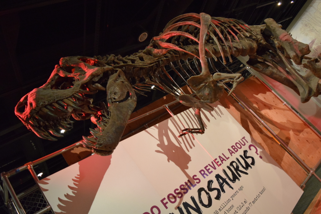 f:id:daiki_futagami:20161113144102j:plain f:id:daiki_futagami:20161113144102j:plain