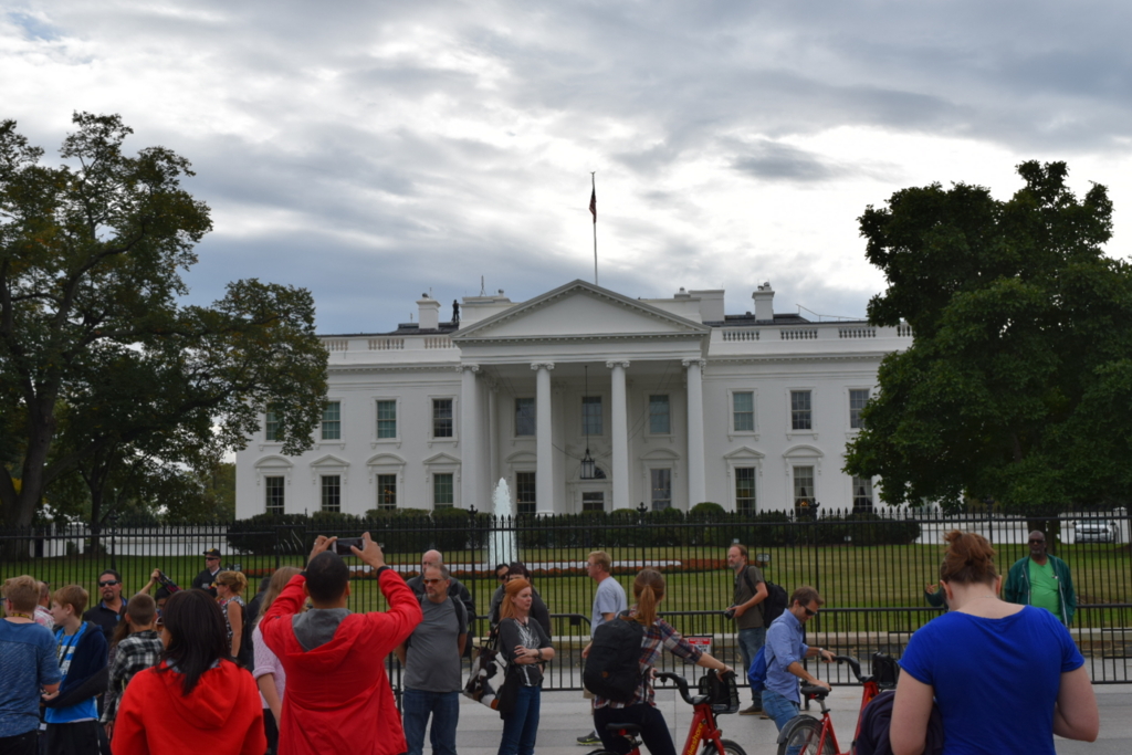 f:id:daiki_futagami:20161113144314j:plain f:id:daiki_futagami:20161113144314j:plain