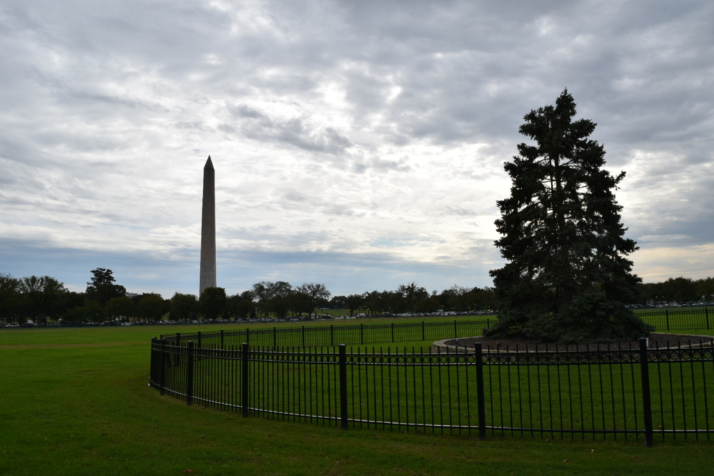 f:id:daiki_futagami:20161113144504j:plain f:id:daiki_futagami:20161113144504j:plain