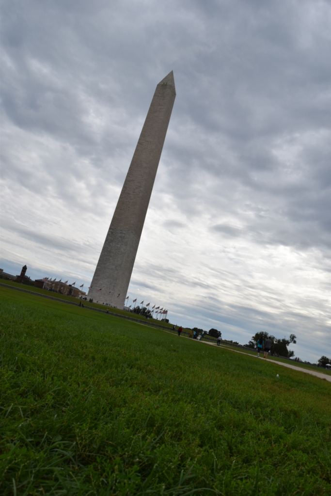 f:id:daiki_futagami:20161113144519j:plain f:id:daiki_futagami:20161113144519j:plain