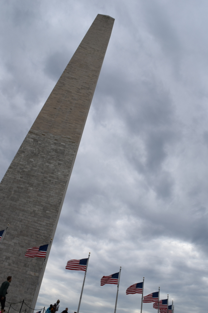 f:id:daiki_futagami:20161113144650j:plain f:id:daiki_futagami:20161113144650j:plain