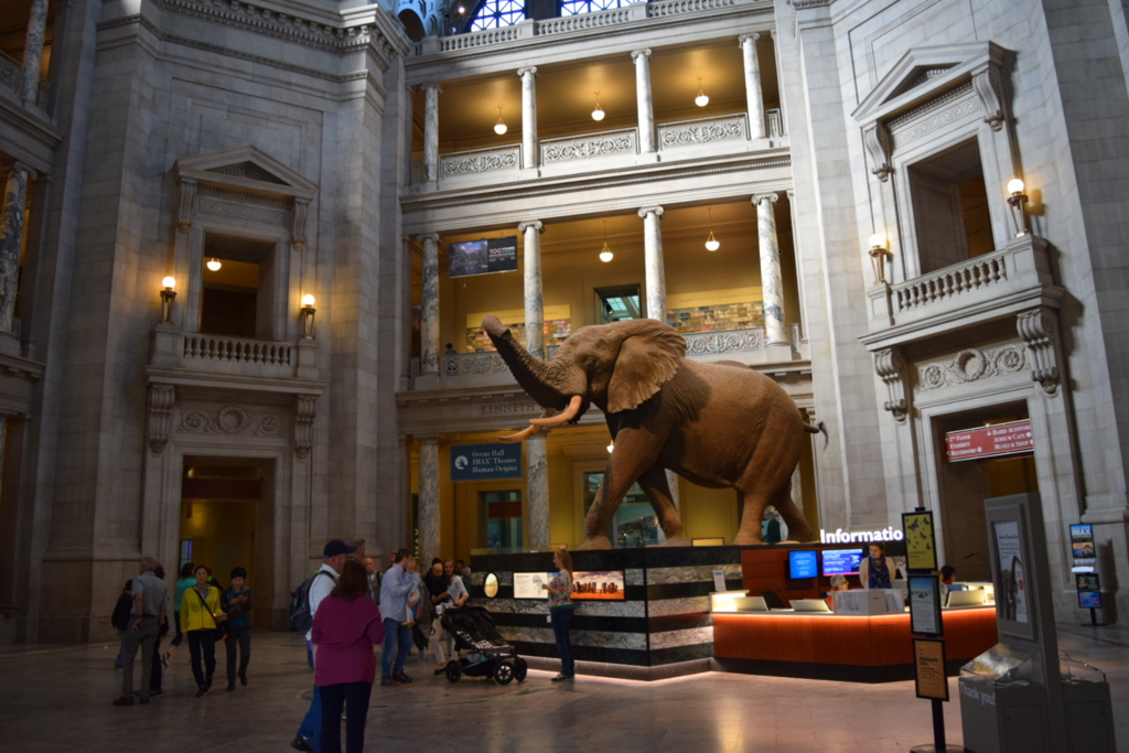 f:id:daiki_futagami:20161113145002j:plain f:id:daiki_futagami:20161113145002j:plain