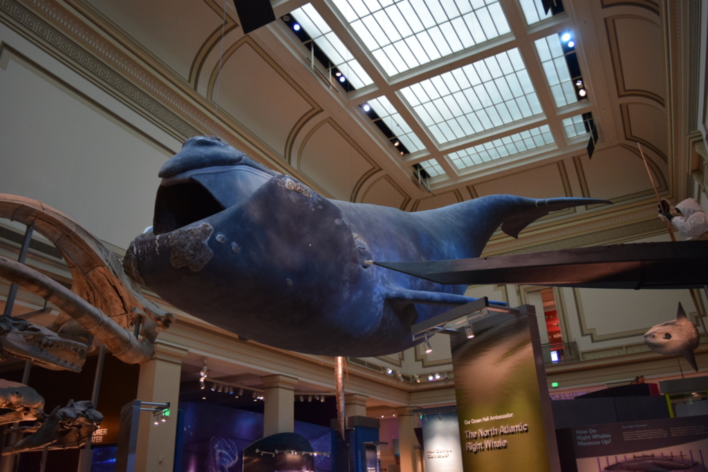 f:id:daiki_futagami:20161113145117j:plain f:id:daiki_futagami:20161113145117j:plain