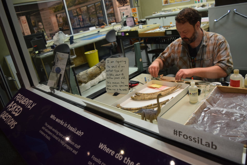 f:id:daiki_futagami:20161113145150j:plain f:id:daiki_futagami:20161113145150j:plain