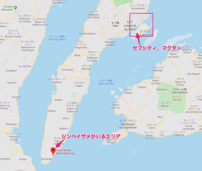 f:id:daiki_futagami:20191005162328j:plain