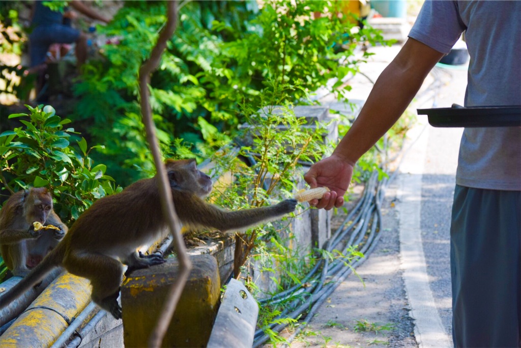 f:id:daiki_futagami:20191005184311j:image