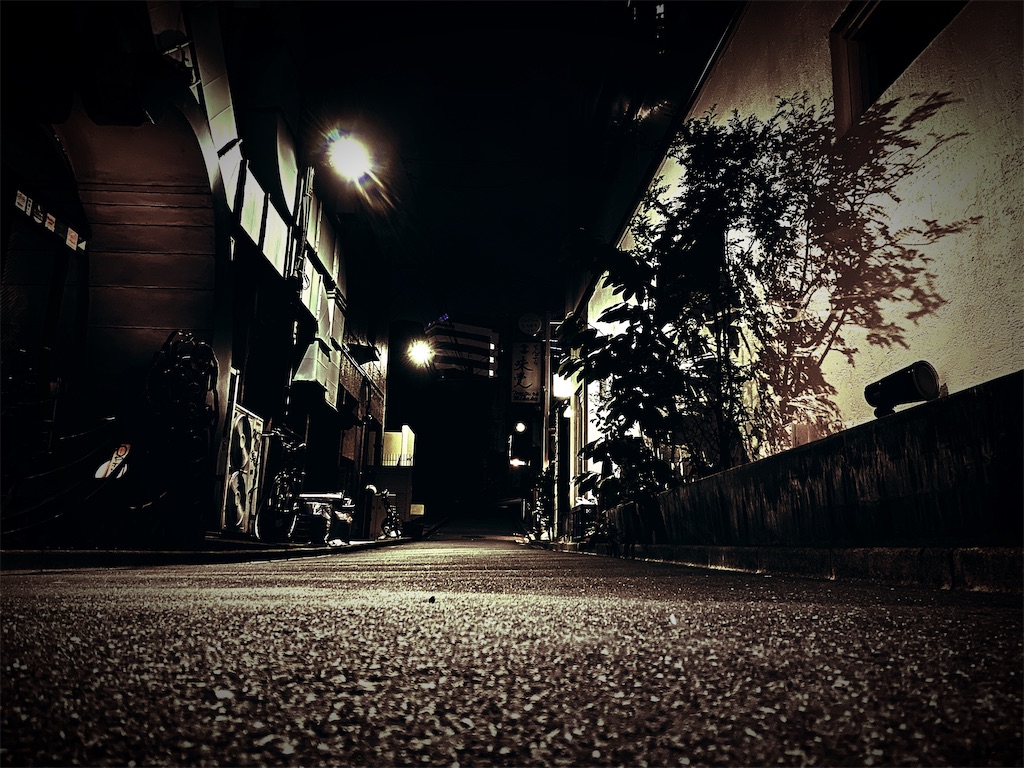 f:id:daiki_futagami:20200627230529j:image