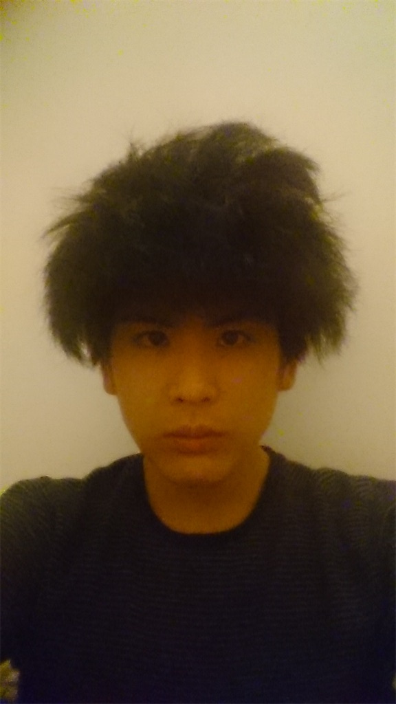 f:id:daiki_futagami:20200830165029j:image
