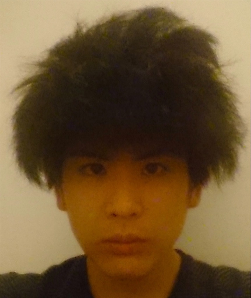 f:id:daiki_futagami:20200830165235j:image