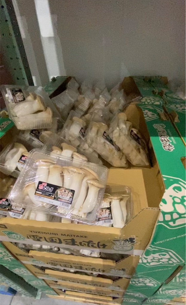 f:id:daiki_futagami:20220423193926j:image