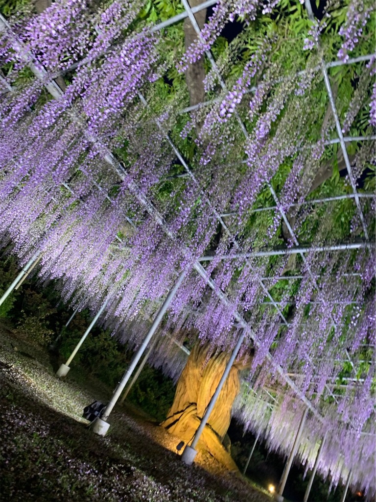 f:id:daiki_futagami:20220505034948j:image