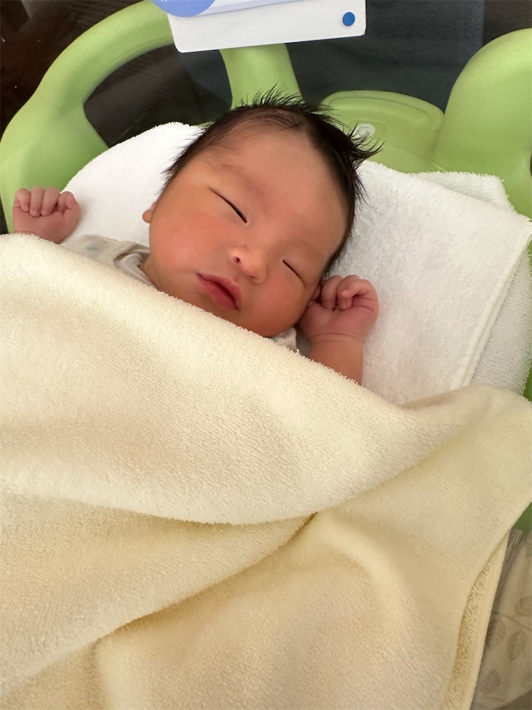 f:id:daiki_futagami:20240630205753j:image